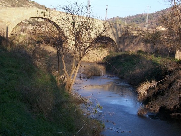 1 de Setembre de 2006 Pont Merites  Torà -  Josep Gatnau Grau