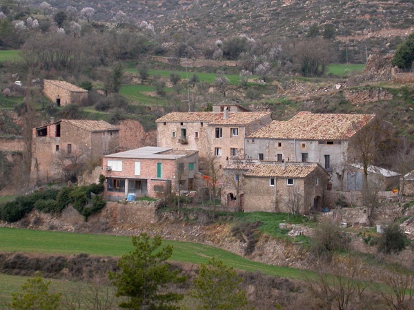 13 de Gener de 2009 vista general de cellers  Cellers -  Ramon Sunyer