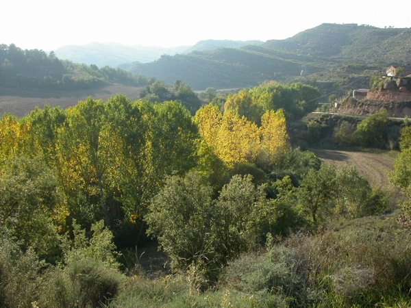 30 de Gener de 2005 Fontanet  Fontanet -  Ramon Sunyer