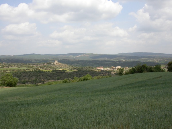 Vista de Puigredon a Torà