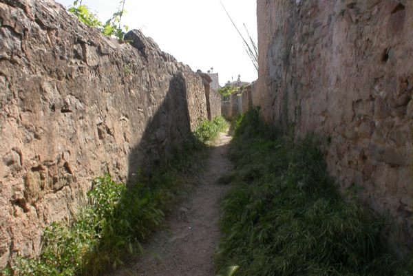 12 de Juny de 2010 Els camins són força estrets
  Torà -  Ramon Sunyer