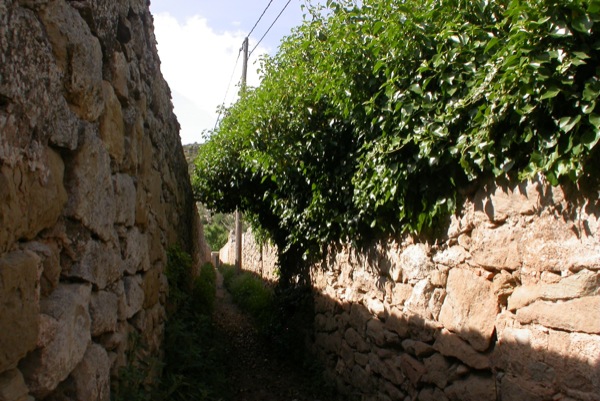 12 de Juny de 2010 Vista general
  Torà -  Ramon Sunyer