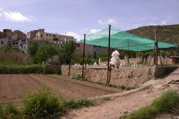 12 de Juny de 2010 Vista general
  Torà -  Ramon Sunyer