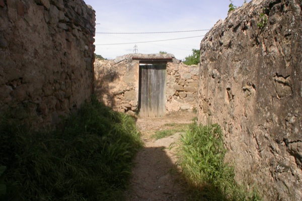 12.6.2010 Vista general
  Torà -  Ramon Sunyer