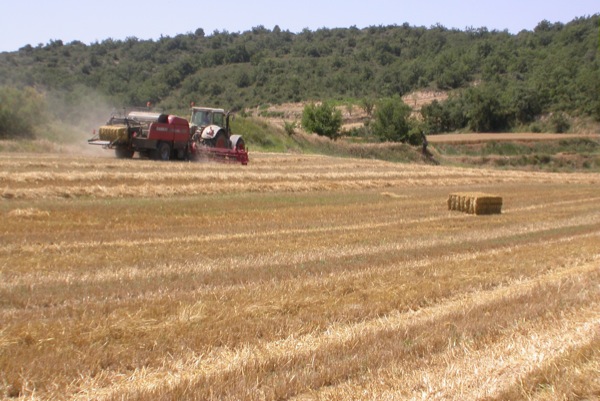 5 de Juliol de 2010 Embaladora de palla  Torà -  Ramon Sunyer