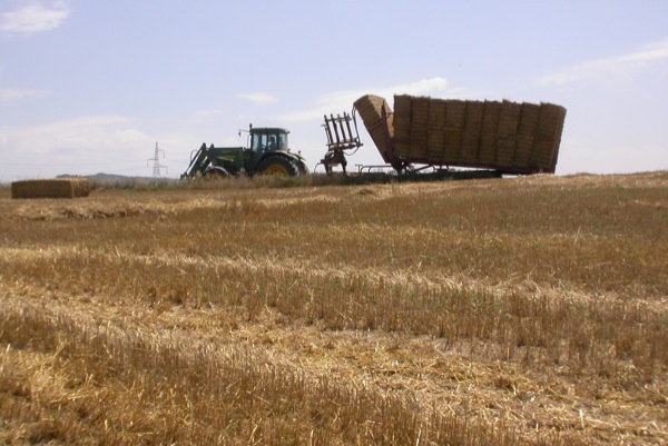 5 de Juliol de 2010 Recollida automàtica de bales  Torà -  Ramon Sunyer