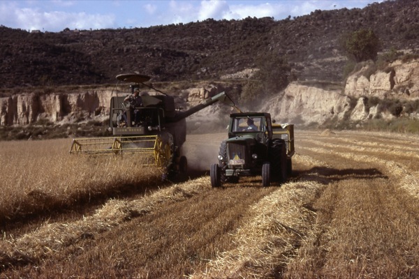 5 de Juliol de 1986 Segant, ja fa uns quants anys  Torà -  Ramon Sunyer