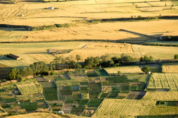 5.7.1986 Vista dels camps de cereals des de l'Aguda  Torà -  Ramon Sunyer