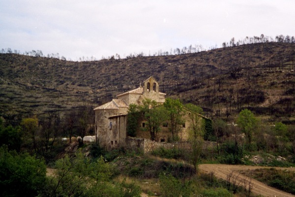 24 de Juliol de 1998 L'entorn del monestir quedà devastat pel foc  Cellers -  Ramon Sunyer