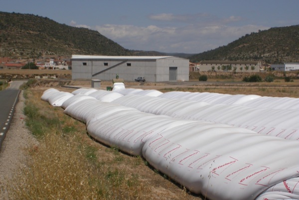 25 de Juliol de 2010 La sitja es va estenent de forma horitzontal  Torà -  Ramon Sunyer