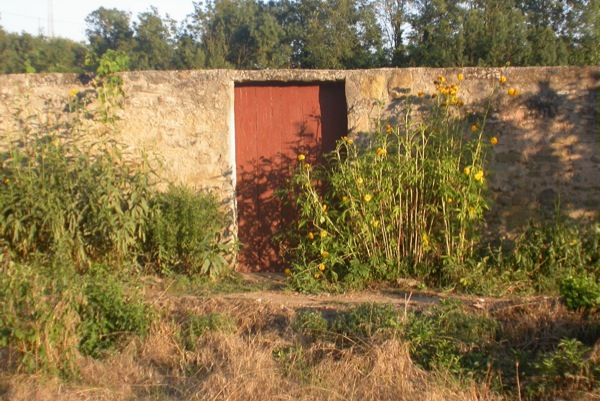 23 de Agost de 2010 Porta d'entrada amb flors  Torà -  Ramon Sunyer