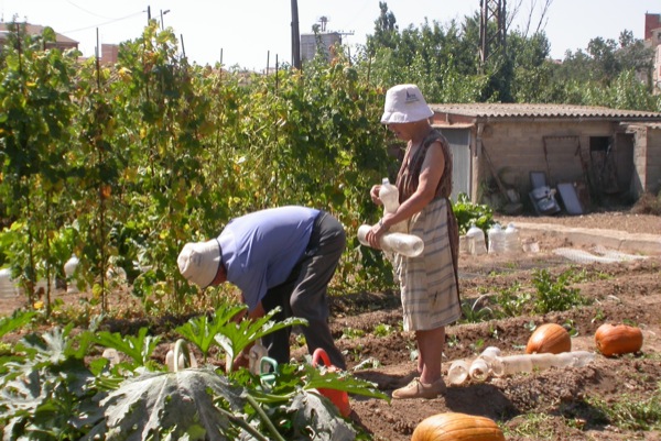 30 de Agost de 2010 Els hortolans  Torà -  Ramon Sunyer