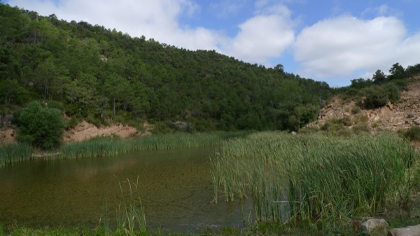 5 de Abril de 2010 Bassa Vallferosa.  Vallferosa -  Xavier Sunyer