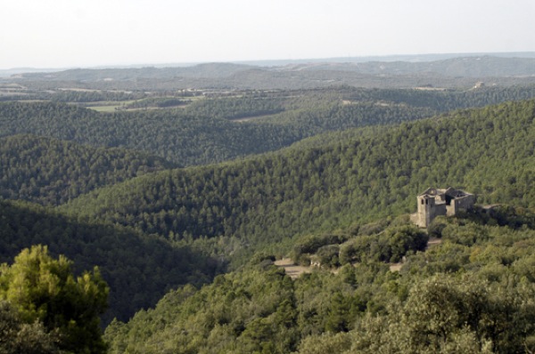 27.9.2009 El castell de Llanera i el seu entorn vist des de Santa maria de Llanera  Llanera -  Xavier Sunyer