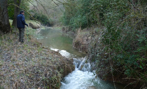 25.4.2009 Riu llanera. L'aigua tampoc es troba a faltar durant la primavera  Llanera -  Xavier Sunyer