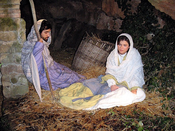 26.12.2009 el portal  Ardèvol -  organització pessebre