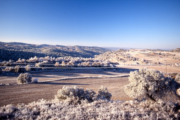 15 de Desembre de 2010 Paisatge gebrat  Torà -  Ramon Sunyer