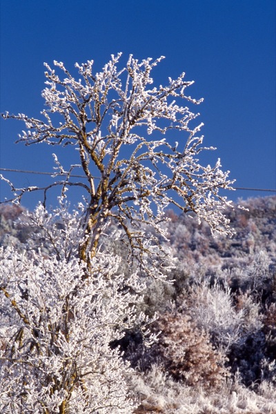 15 de Desembre de 2010 Paisatge gebrat  Torà -  Ramon Sunyer