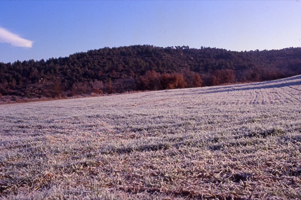 15 de Desembre de 2010 Paisatge gebrat  Torà -  Ramon Sunyer