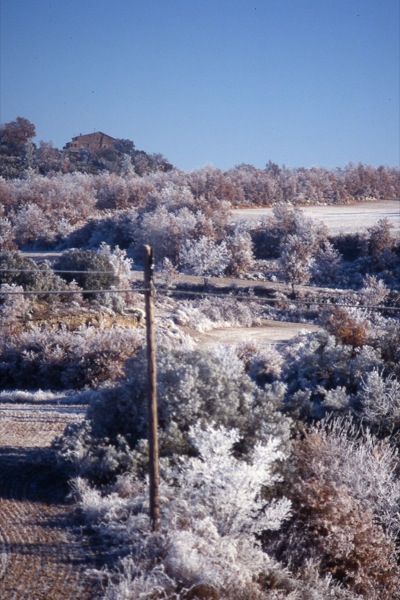 15 de Desembre de 2010 Paisatge gebrat  Torà -  Ramon Sunyer