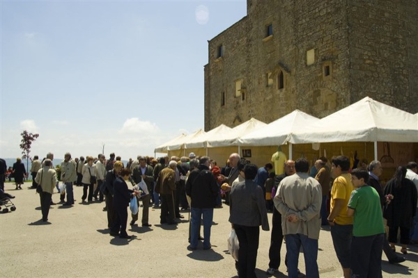 18 de Maig de 2008 Plaça de la Fira 2008  Pinós -  Susanna Altarriba