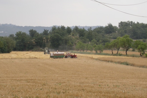 25.6.2011   Torà -  Ramon Sunyer