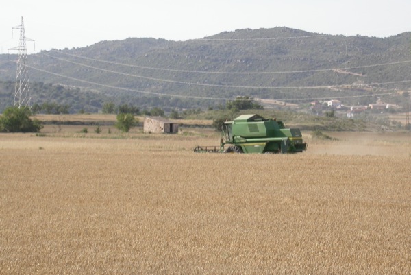 25 de Juny de 2011   Torà -  Ramon Sunyer