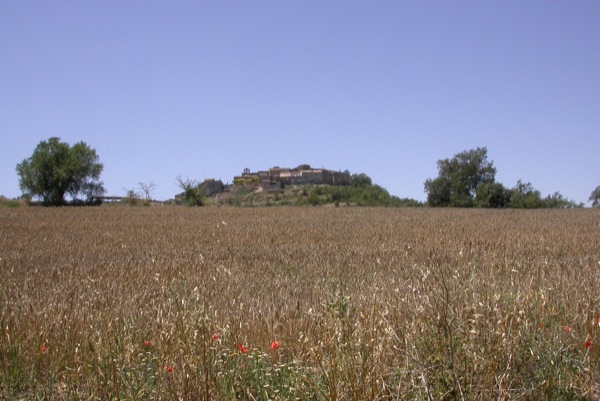 27.6.2011 Camps de cereals  Talteüll -  Ramon Sunyer