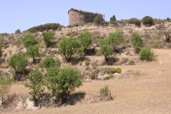 27.6.2011 Sant Pere dels Murinyols  Torà -  Ramon Sunyer