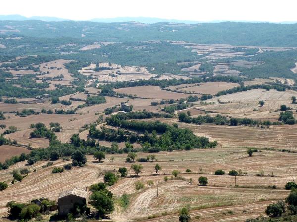 12 de Agost de 2011 Vista dels plans des del Tossal  Puigredon -  Isidre Blanc