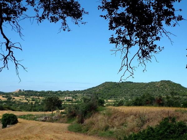 12.8.2011 Vista del Tossal de les Feixes  Puigredon -  Isidre Blanc