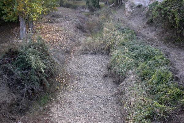 1 de Novembre de 2011 La llera del riu Llanera  Torà -  Ramon Sunyer