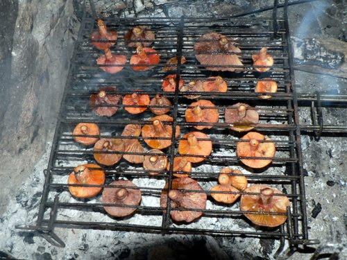 26 de Octubre de 2012 Rovellons a la brasa  - 