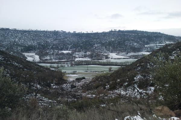 5.2.2012 Les Valls  Torà -  Ramon Sunyer