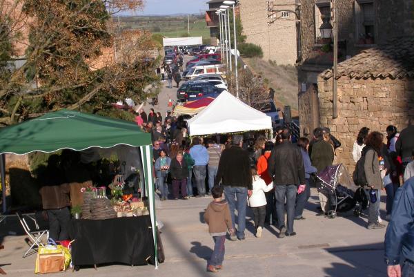 7 de Abril de 2012   Florejacs -  Ramon Sunyer