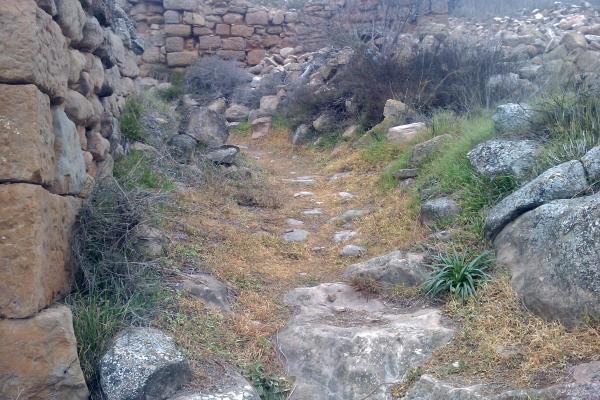 8 de Gener de 2012 L'antic camí a l'arribar a l'Aguda  L'Aguda -  Ramon Sunyer