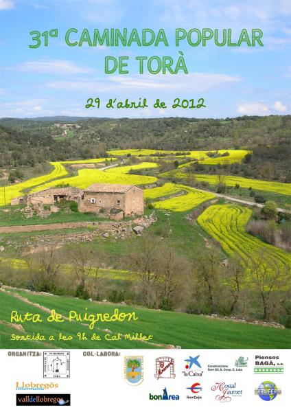 29.4.2012 Cartell 31a caminada popular Torà  -  APACT