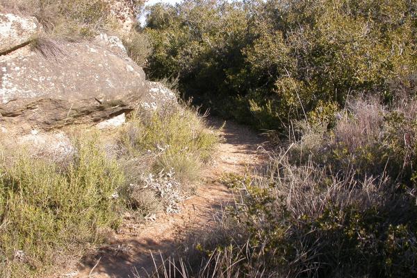 Camí de Torà a Fontanet