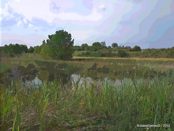 3 de Juliol de 2012 Brics  Solsona -  Josep Gatnau