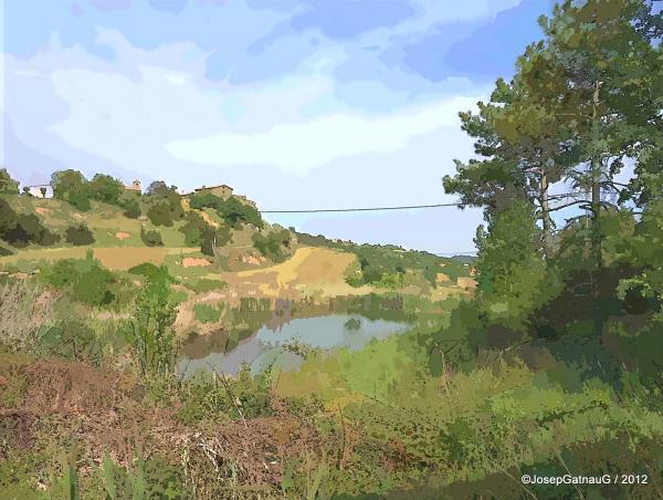 3 de Juliol de 2012 Brics  Solsona -  Josep Gatnau