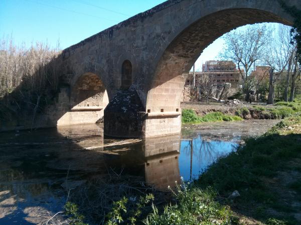 15 de Abril de 2013 Pont de les Merites  Torà -  Ramon Sunyer