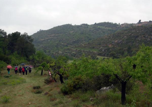 28 de Abril de 2013 220 caminants inicien la jornada  Torà -  Xavi