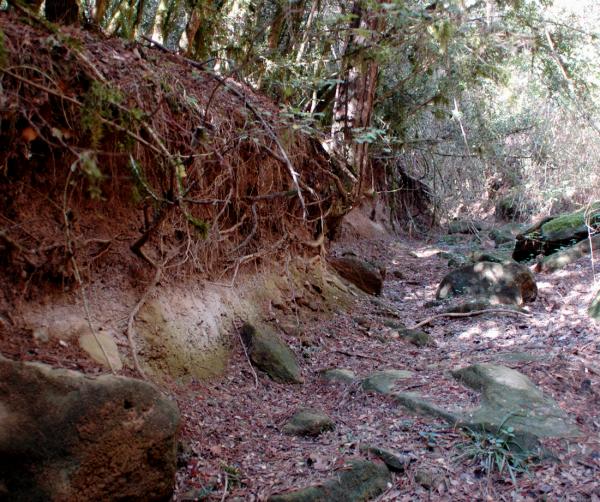 27 de Octubre de 2012 Mes d'octubre de 2012. La llera del Llanera seca.  Torà -  Xavier