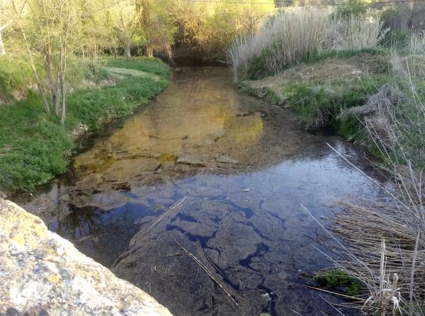 18 de Abril de 2013 Abril 2013. L'aigua del llanera arriba al pont de les Merites  -  Xavier