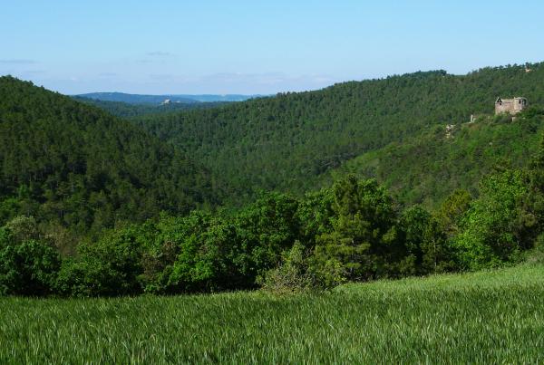 25 de Maig de 2013 Vall de Llanera  -  Xavier