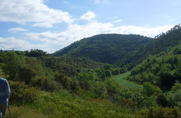 25 de Maig de 2013 Obaga del toll de l'Amic  -  Xavier