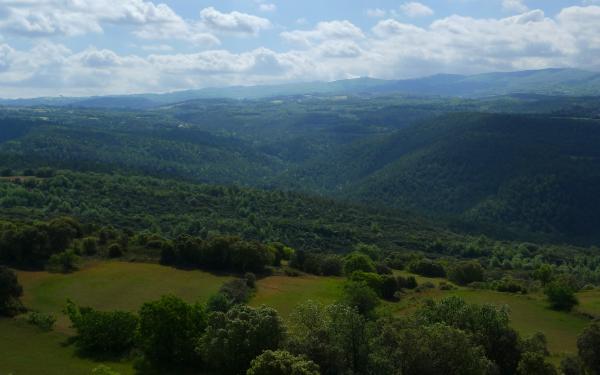 25 de Maig de 2013 25 maig.Vall del riu Llanera.   -  Xavier