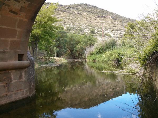 2 de Juny de 2013 Des de l'ull del pont  Torà -  Ramon Sunyer