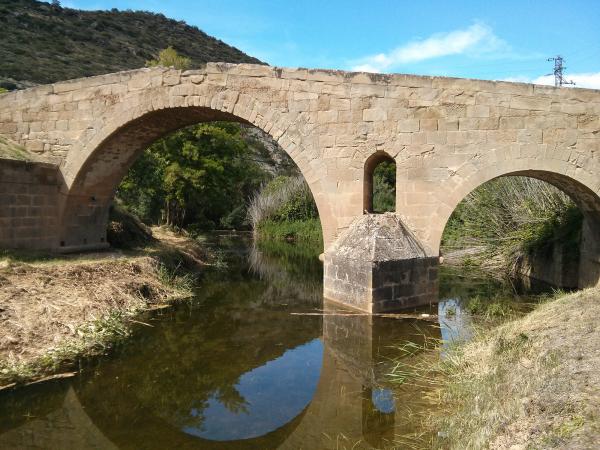 2 de Juny de 2013 El pont de les Merites  Torà -  Ramon Sunyer