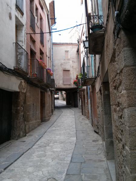 5 de Juny de 2013 Carrer Nou  Torà -  Ramon Sunyer